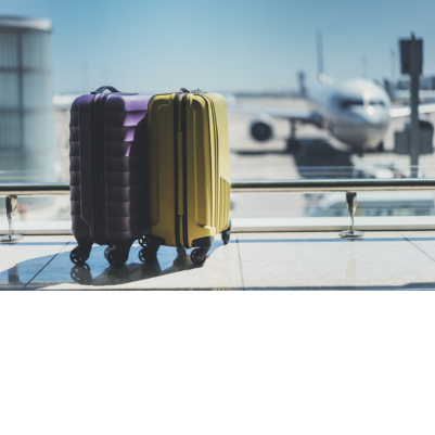Excess Baggage Service Request Form