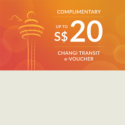 Transit e-voucher