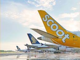 What makes TR special